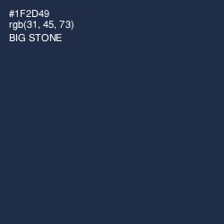 #1F2D49 - Big Stone Color Image